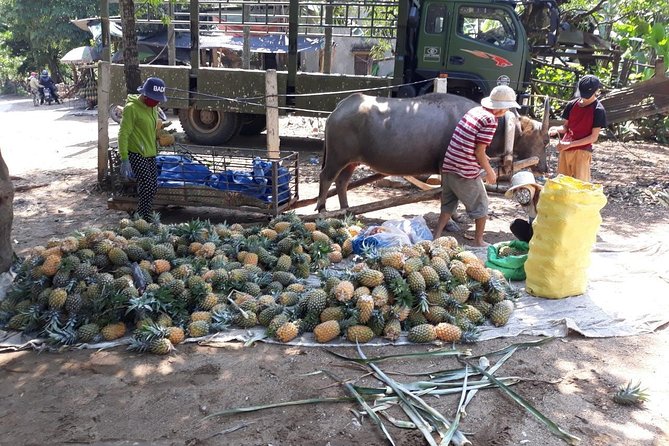 Explore Mountains and Minorities Loop by Jeep - Tour Requirements and Cancellation Policy