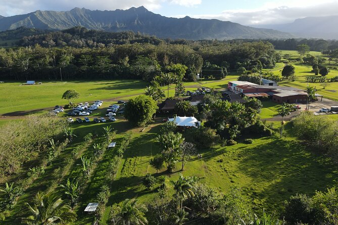 Exploring Common Ground Walking Tour in Kauai - Good To Know