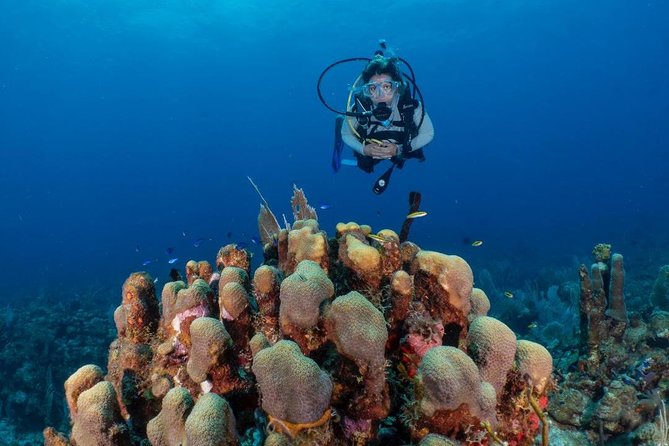Fajardo 2-Tank Scuba Dive for Certified Divers Only - Scuba Dive Experience Details