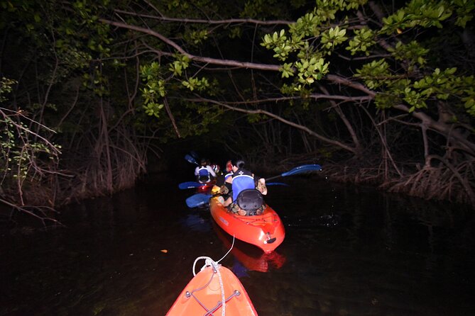 Fajardo Bio Bay Sunset Kayaking Tour