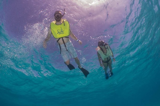 Fajardo Morning Snorkeling Tour: Check in at 8:00am - Tour Overview and Details