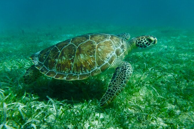 Fajardo Private Half-Day Charter  - Puerto Rico - Overview and Inclusions