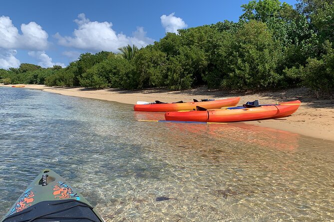 Fajardo, Puerto Rico: Snorkel and Kayak Eco-Adventure