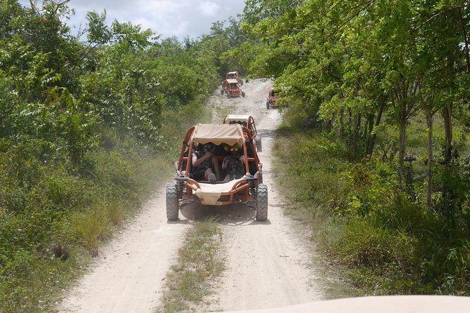 Family Buggy Adventure in Punta Cana - Pricing and Guarantee