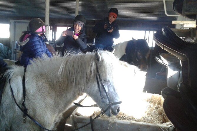 Family Horse Riding Tour in Thorlakshofn - Good To Know