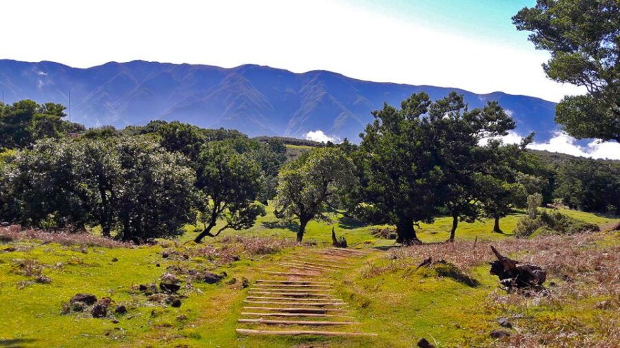 Fanal / Assobiadores - Levada Walk - Good To Know