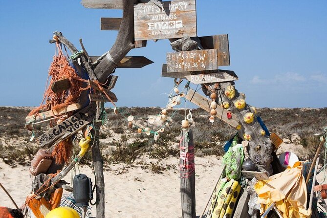 Faro to Ilha Deserta, Rio Formosa Natural Park Eco-Tour