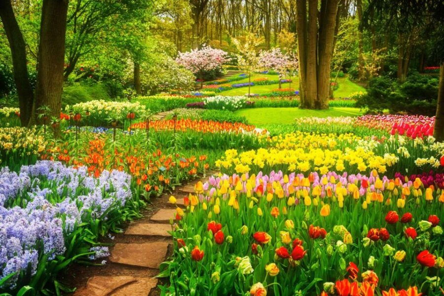 Fast Track Keukenhof Gardens From Amsterdam by Private Car - Good To Know
