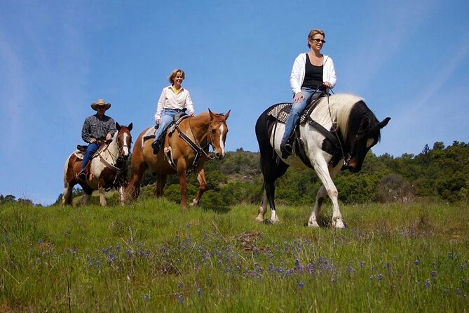 Fethiye Horse Riding Experience With Free Hotel Transfer Service - Experience Details