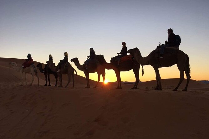 Fez to Marrakech via Merzouga Desert - 3 Day Desert Tour