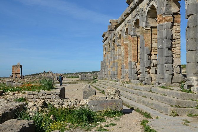 Fez to Volubilis and Meknes Day Trip - Overview and Highlights