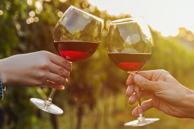 Fine Wineing - a Wine Tasting Experience in the Vineyards of the Desert! - Good To Know