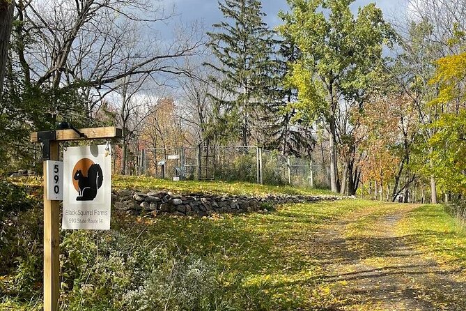 2 Best Guided Tours In Ithaca