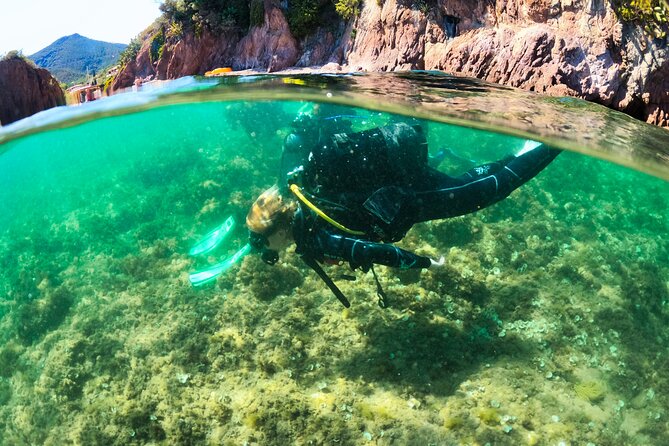 First Dive 60 Minutes in Théoule-Sur-Mer