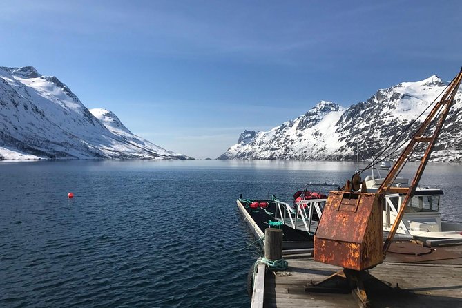 Fjord Sightseeing – Eco Friendly Tesla Model X