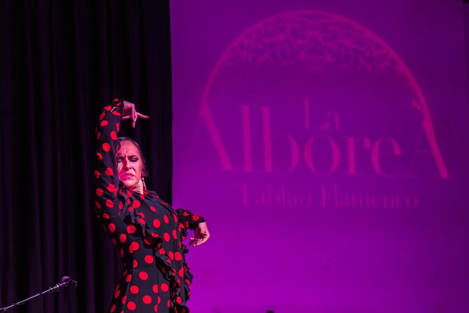 Flamenco in the Center of Granada - Overview and Inclusions