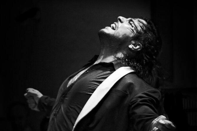 Flamenco Live Show and Dinner in Mexico City - Good To Know