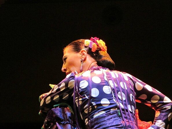 Flamenco Show "Museo De Baile Flamenco" - Good To Know