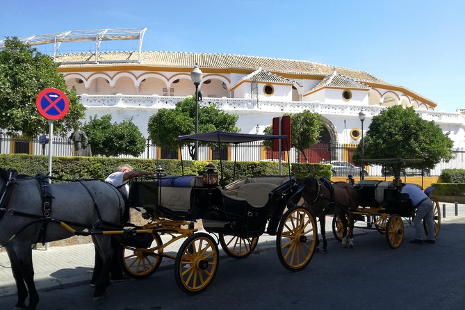 Flamenco, Tapas and Horse Drawn Carriage. - History of Flamenco Dance