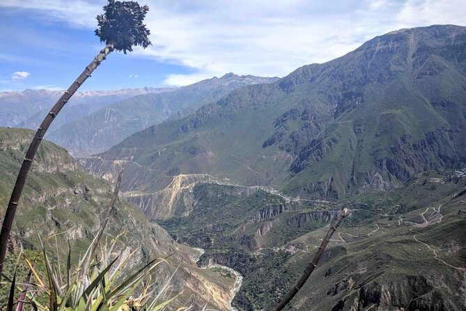 Flight of the Condor Tour in Cabanaconde - Good To Know