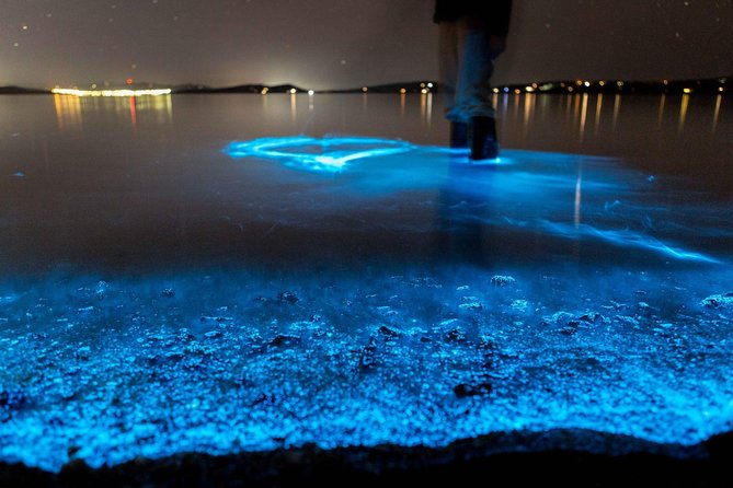 Florida Bioluminescence Kayaking Tour Haulover Canal (Titusville)
