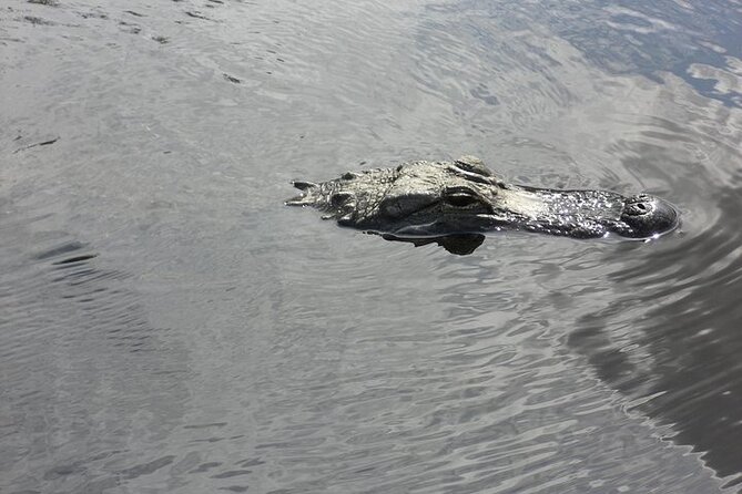 Florida Everglades Airboat Tour From Fort Lauderdale