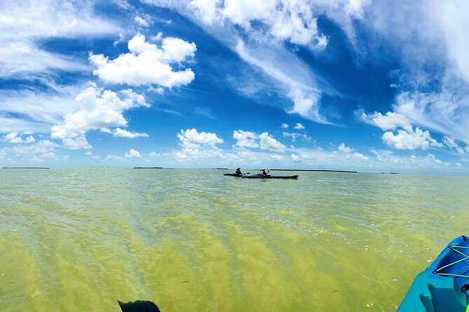 Florida Keys Eco, Paddle, and Snorkel Tour - Good To Know