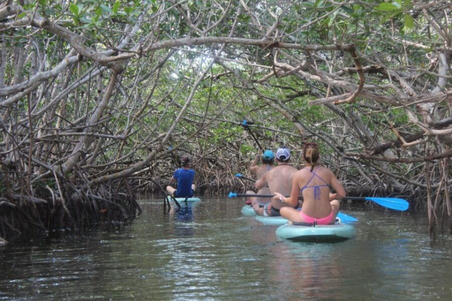 Florida Keys: Full-Day Kayak and Snorkel Reef Adventure - Good To Know