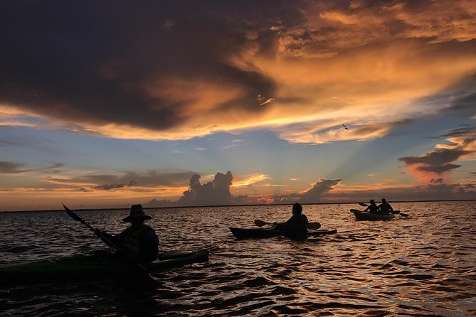 Florida Sunset and Bioluminescence Package - Good To Know