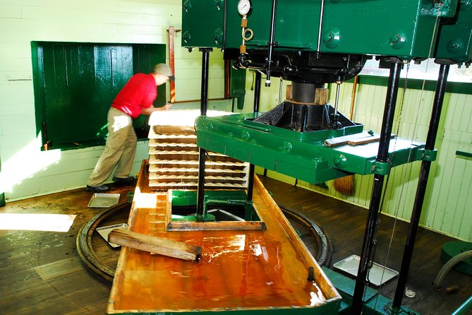 Fly Creek Cider Mill & Orchard - Private Tour With Owner - Good To Know