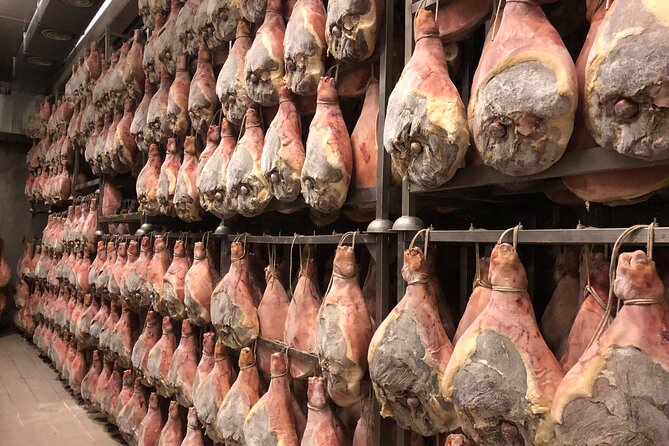 Food Tour Complete: Prosciutto,Parmesan,Balsamic,Wine, Private Transport, Lunch - Good To Know