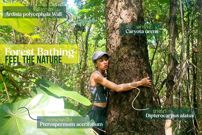 Forest Bathing & Nature Retreat Include Aroma Blending Workshop - Good To Know