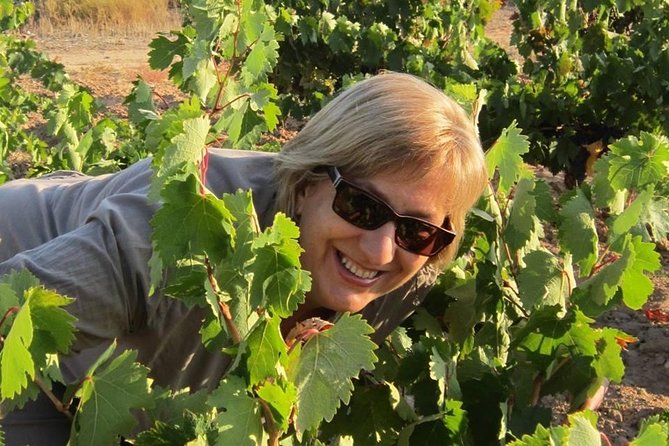 Forget About Driving and Enjoy the Ribera Del Duero !!!