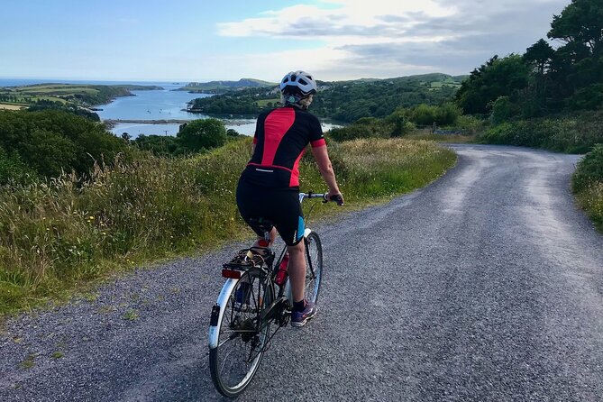 Forks, Focail and Folklore - Storytelling Tour via Ebike - Good To Know