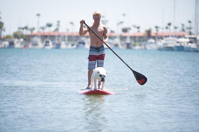 Fort Lauderdale Paddleboard Rental