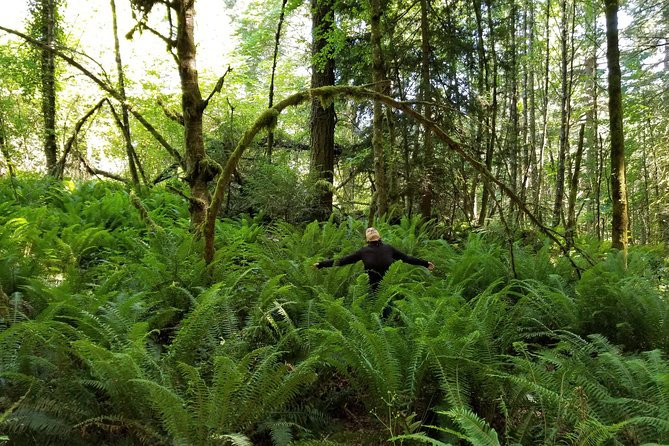 Francis King Regional Park Forest Bathing  – Vancouver Island