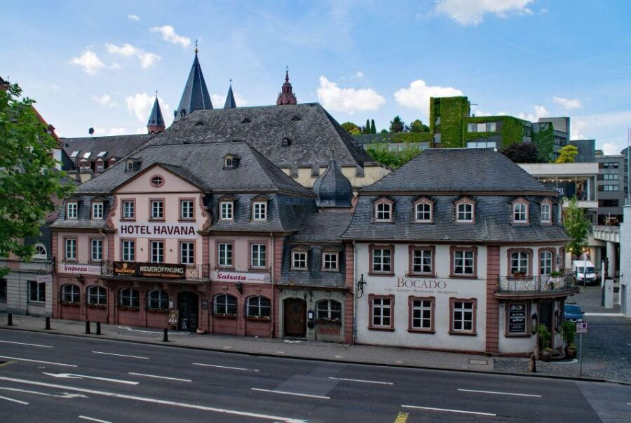 Frankfurt to Mainz Private Excursion With Public Transport - Good To Know