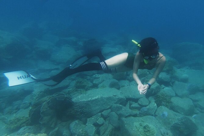 Freedive Trip Koh Kood or Koh Rang National Park ( Start at Ko Kut) - Good To Know