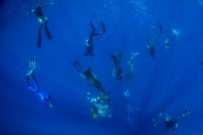Freediving Courses