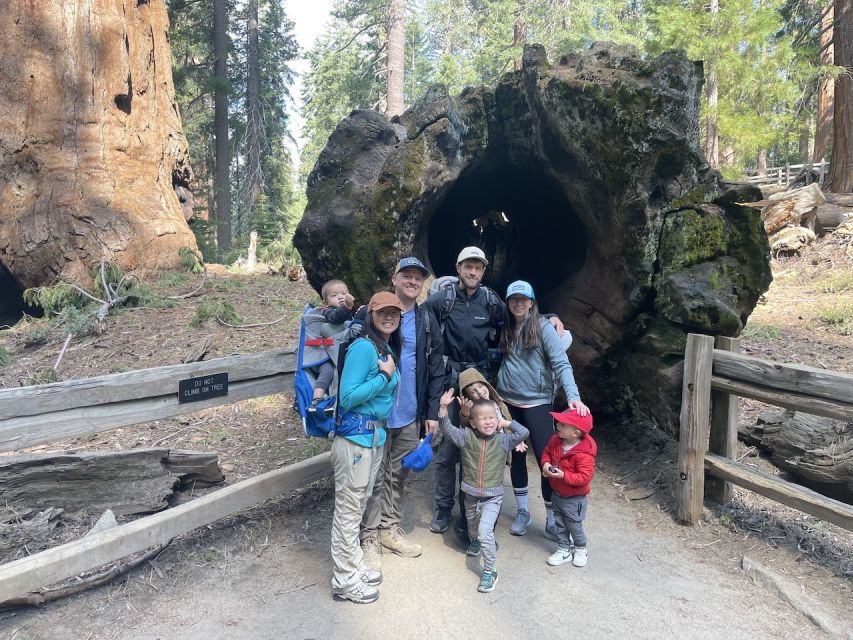 Fresno: Premier Kings Canyon National Park Tour