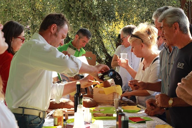From Abano Montegrotto Olive Oil & Wine in the Euganean Hills