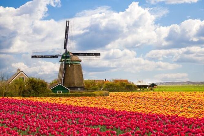 From Amsterdam: Full Day Tour Keukenhof & Zaanse Schans Windmills