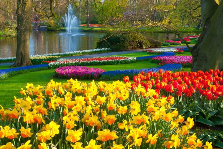 From Amsterdam: Keukenhof Flower Park Transfer With Ticket - Good To Know