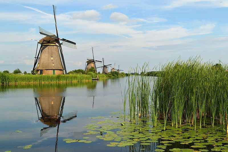 From Amsterdam: Kinderdijk and the Hague Tour With Museums - Good To Know