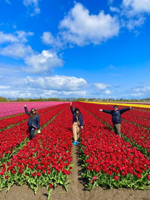 From Amsterdam: Tulip Fields and Windmill Tour With Lunch - Good To Know