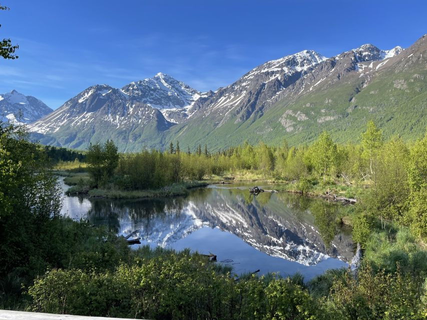 From Anchorage: Valley and Forest Hike With Naturalist Guide - Good To Know
