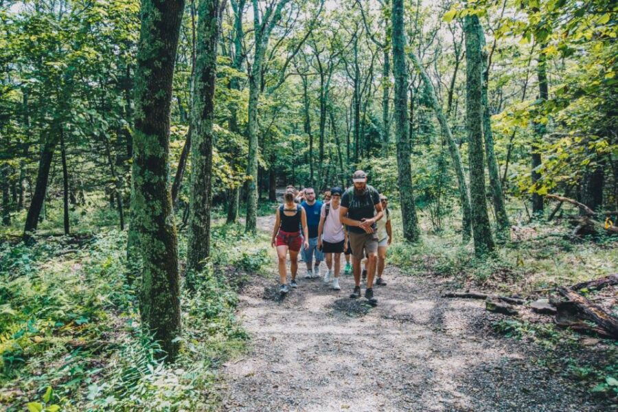 From Asheville: 3-Day Track and Backpack Appalachian Trail