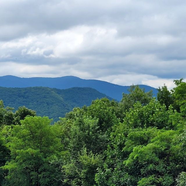 From Atlanta: Half-Day or Full-Day Wine Country Tasting Trip - Good To Know