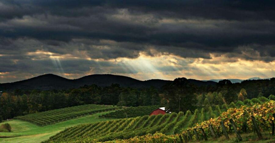 From Atlanta: North Georgia Wine Country Tour - Good To Know