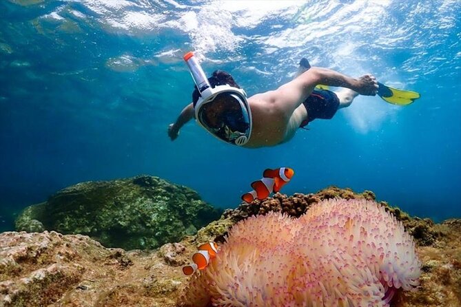 From Bangkok: Nemo Island With Lunch and Drone Photos - Good To Know